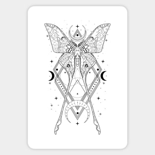 Chinese Luna Moth - Actias Dubernardi Sticker